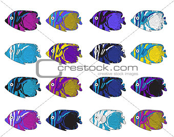 Fish colorful set. Hand drawing. Vector illustration.