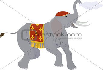 Circus elephant waving a handkerchief isolated on white