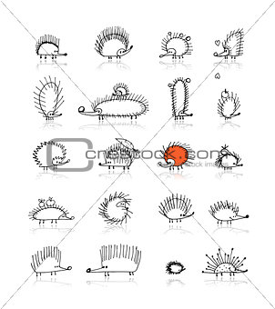 Hedgehog collection, sketch for your design