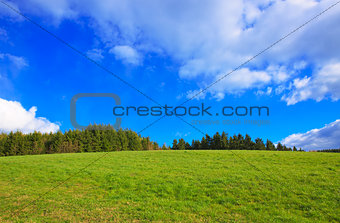 Green Grass Field Landscape and blue sky.