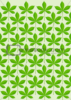 Green leaves pattern illustration