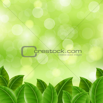 Green Banner With Leaves