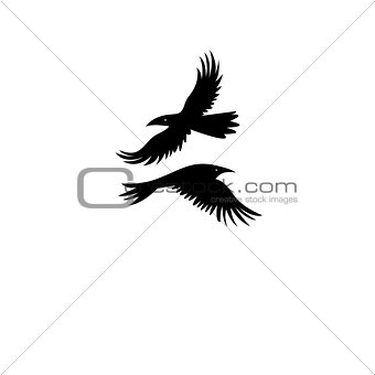 Vector icons of black silhouettes of a crow