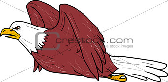Bald Eagle Flying Cartoon