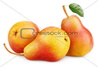 Three red yellow pear fruits with green leaf isolated on white