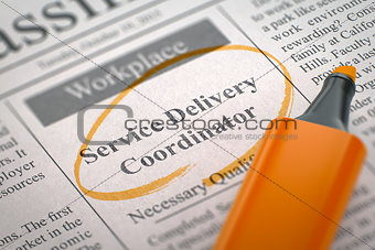 Service Delivery Coordinator Job Vacancy. 3d.