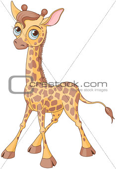Cute Giraffe 