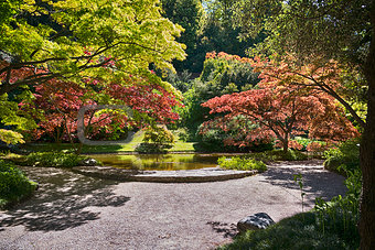 Botanical garden with little lake