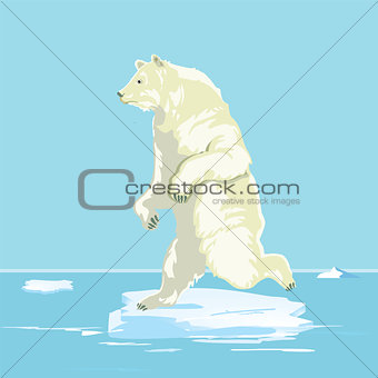 Polar bear on a small ice floe, illustration