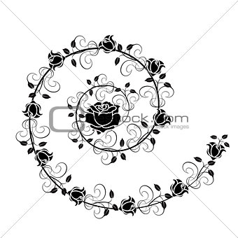 roses flourishes vector 1