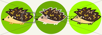 Cute cartoon hedgehog icons