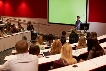 Young adult students at a university lecture, back view