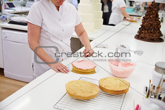 Woman In Bakery Decorating Cake With Icing