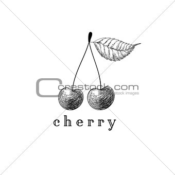 Cherry vector drawing