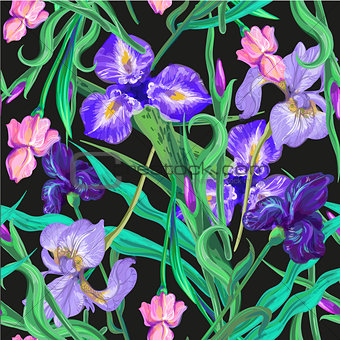 Seamless pattern with flowers. Iris. Lily. Vector. Hand drawn. Black background