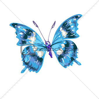 Colorful abstract watercolor butterfly on a white background. Vector