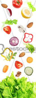 Salad background