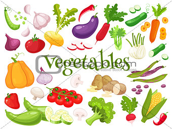 Set of fresh vegetables for your design