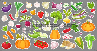 Big set of colorful vegetables. Isolated stickers of vegetables. Natural fresh organic vegetables.Cartoon style vector illustration.