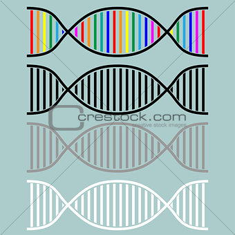 DNA or desoxyribonucleic acid icon.
