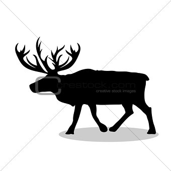 Deer northern black silhouette animal