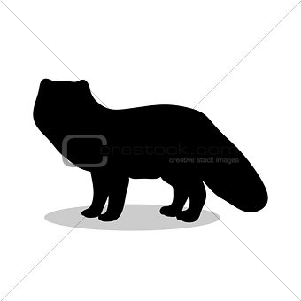 Fox arctic black silhouette animal