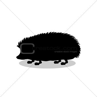 Hedgehog wildlife black silhouette animal