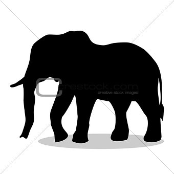 Elephant mammal black silhouette animal