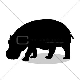 Hippo mammal black silhouette animal