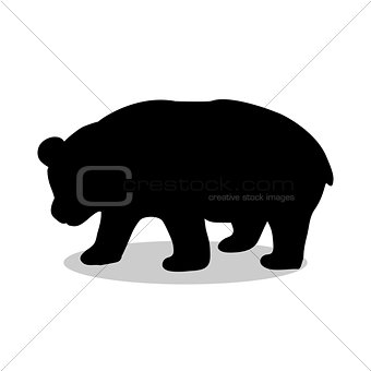 Panda bear mammal black silhouette animal