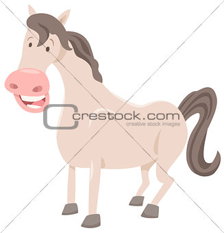 funny horse farm animal