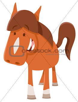 cute horsepr pony farm animal