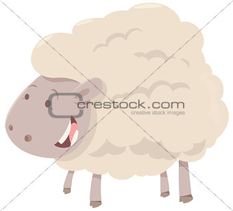 farm sheep animal