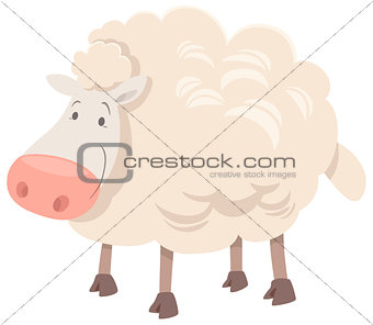 sheep animal character cartoon