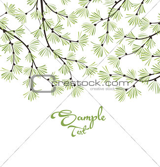 Decoration of pine branches