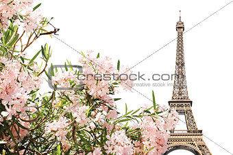 Eiffel tower and pink flowers