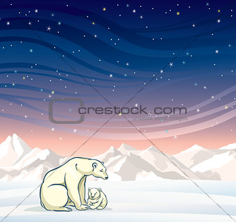 Polar bear with baby and winter landscape at night.