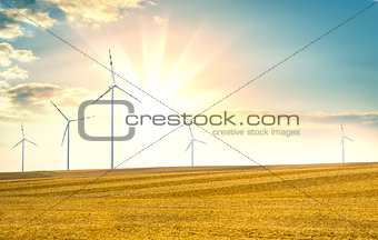 Mown yellow field and wind farms