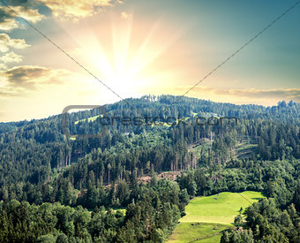 Forest on hill and beautiful sunrise or sunset