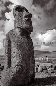 Moai statue, ahu Tongariki, easter island. Black and white pictu