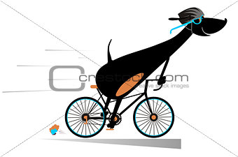Cartoon dog rides a bike isolated