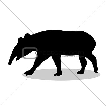 Tapir mammal black silhouette animal