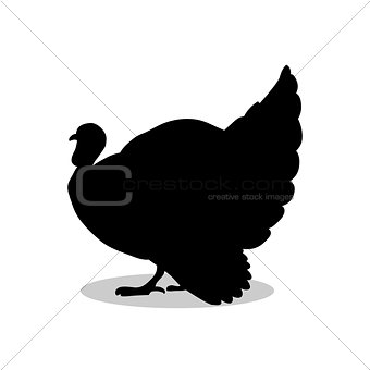 Turkey bird black silhouette animal