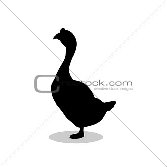 Goose bird black silhouette animal