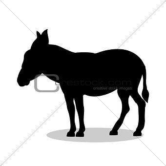 Donkey farm mammal black silhouette animal