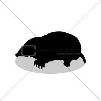 Mole insectivores mammal black silhouette animal