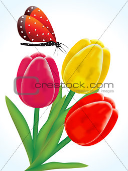 abstract artistic colorful detailed tulip flowers