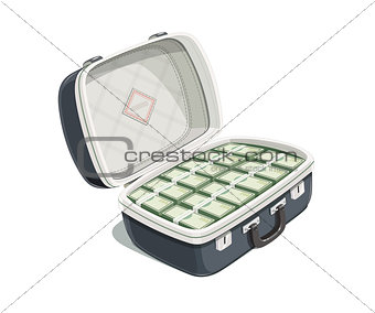 Black open briefcase with bundle of dollars