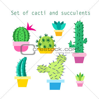 Vector set of different cacti