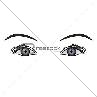 Object pair of eyes grey isolated